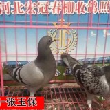 lWuEFc
