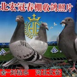 lWuXB6