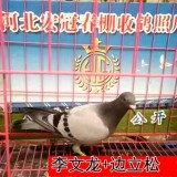 lWuoh9
