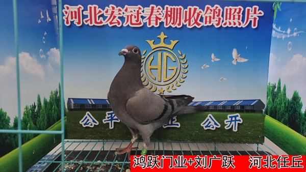 鸿跃门业+刘广跃