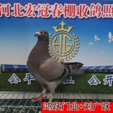 lWuuM5