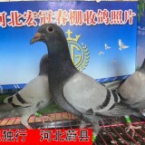 lWwD7j