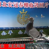 lWwcSc