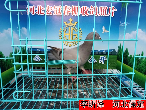 李昕泽