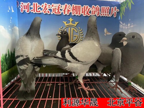 lWwlX7.jpg