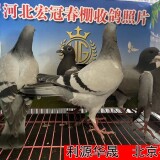 lWwlX7