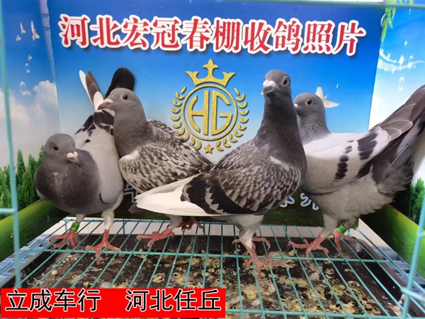 立成车行