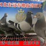 lWwvs3