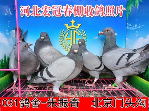 l1MjNO.jpg