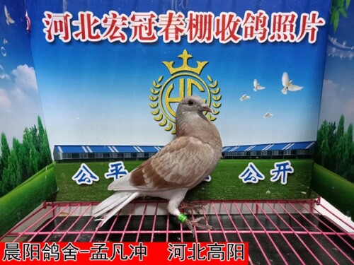 l1flR7.jpg