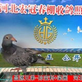 l1fm5U