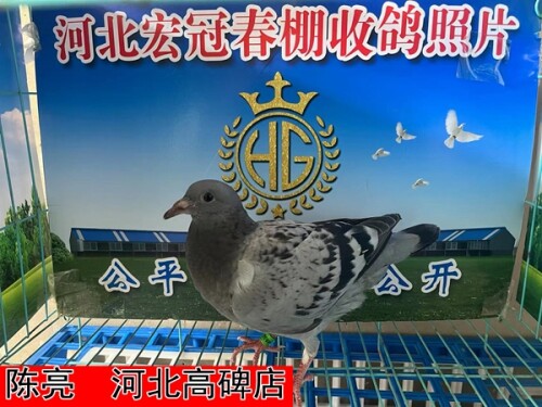 l1fpCq.jpg