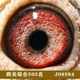 lJAfi5