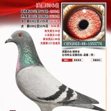 lXZenH