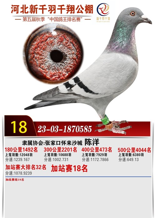 lMI2Fh.jpg