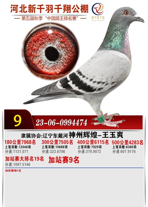 lMI4NO.jpg