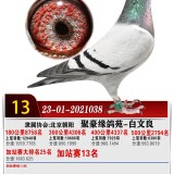 lMIn53