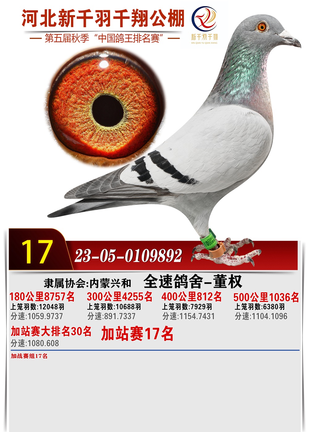 17