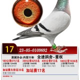 lMIsP4
