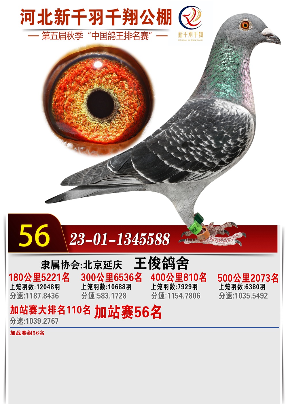 56