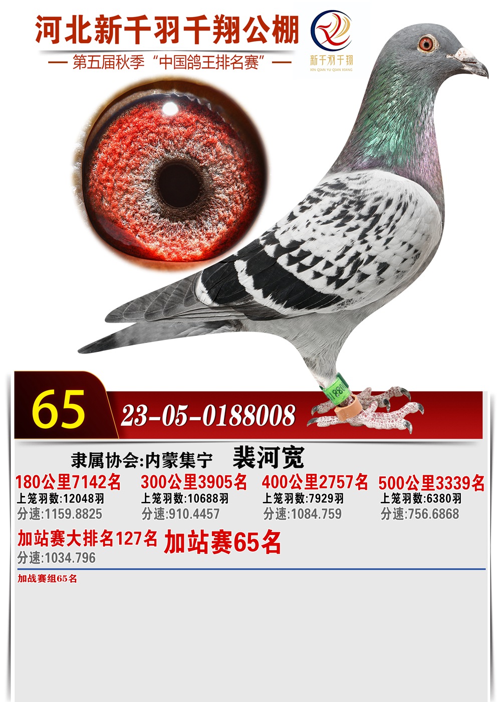65