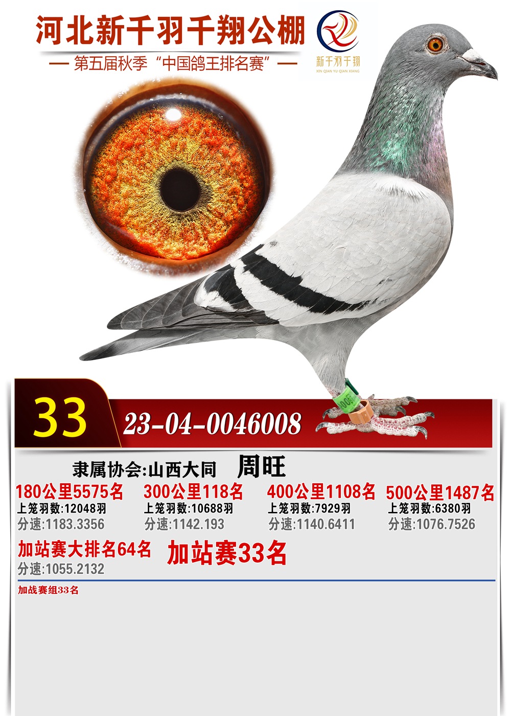 33