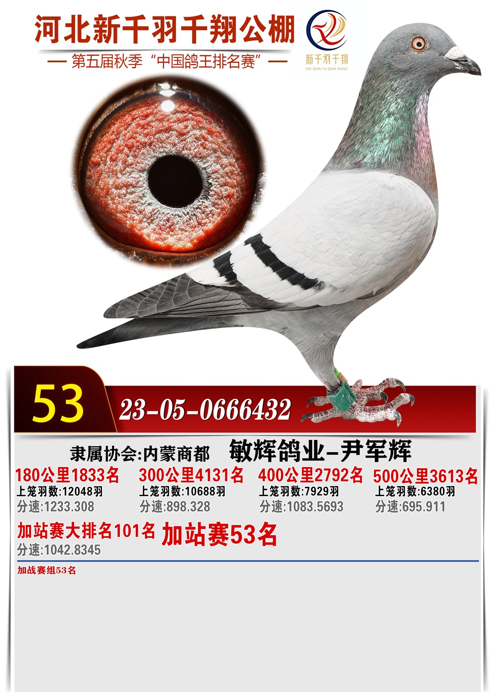 53