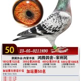 lMMSO9