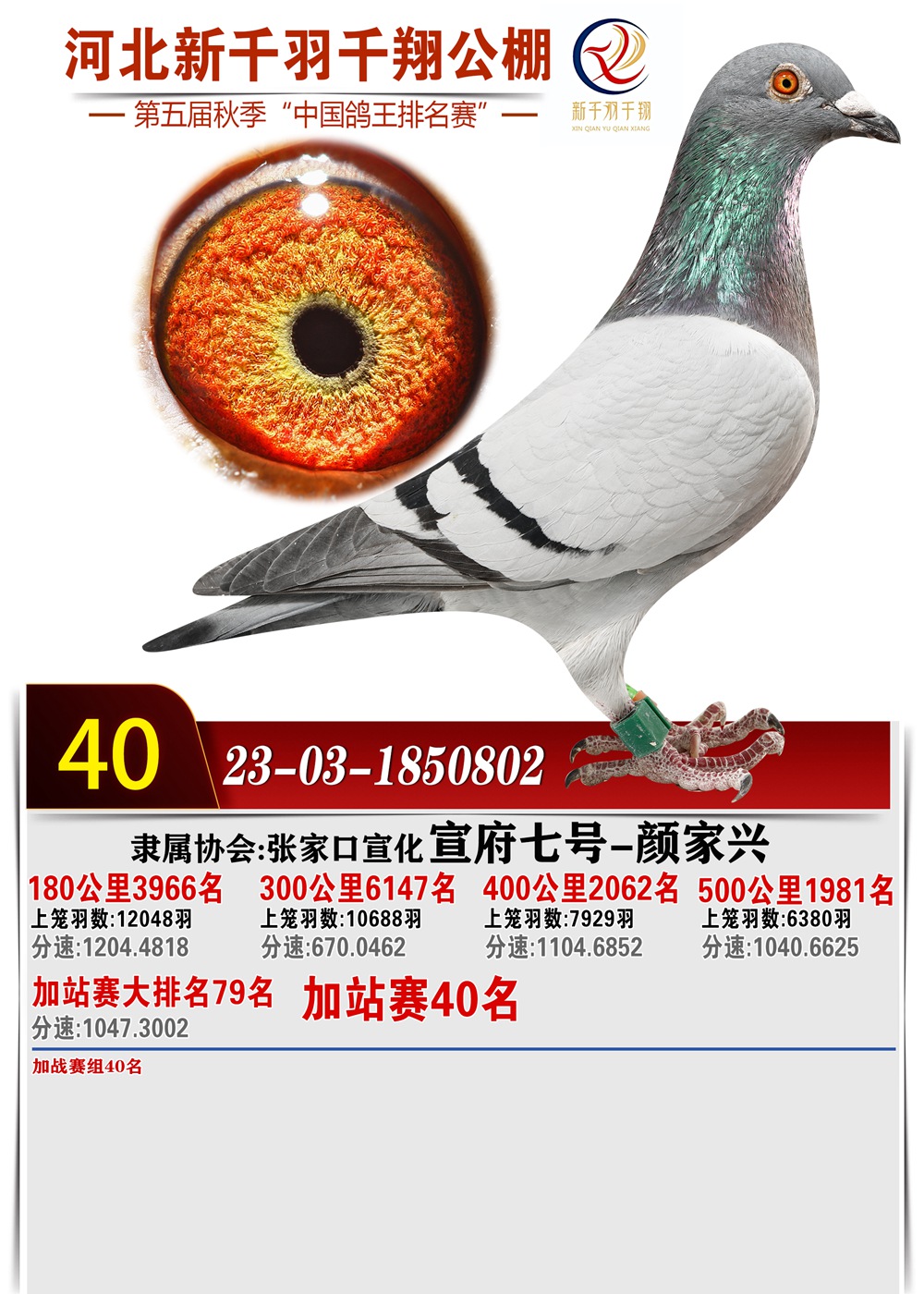 40