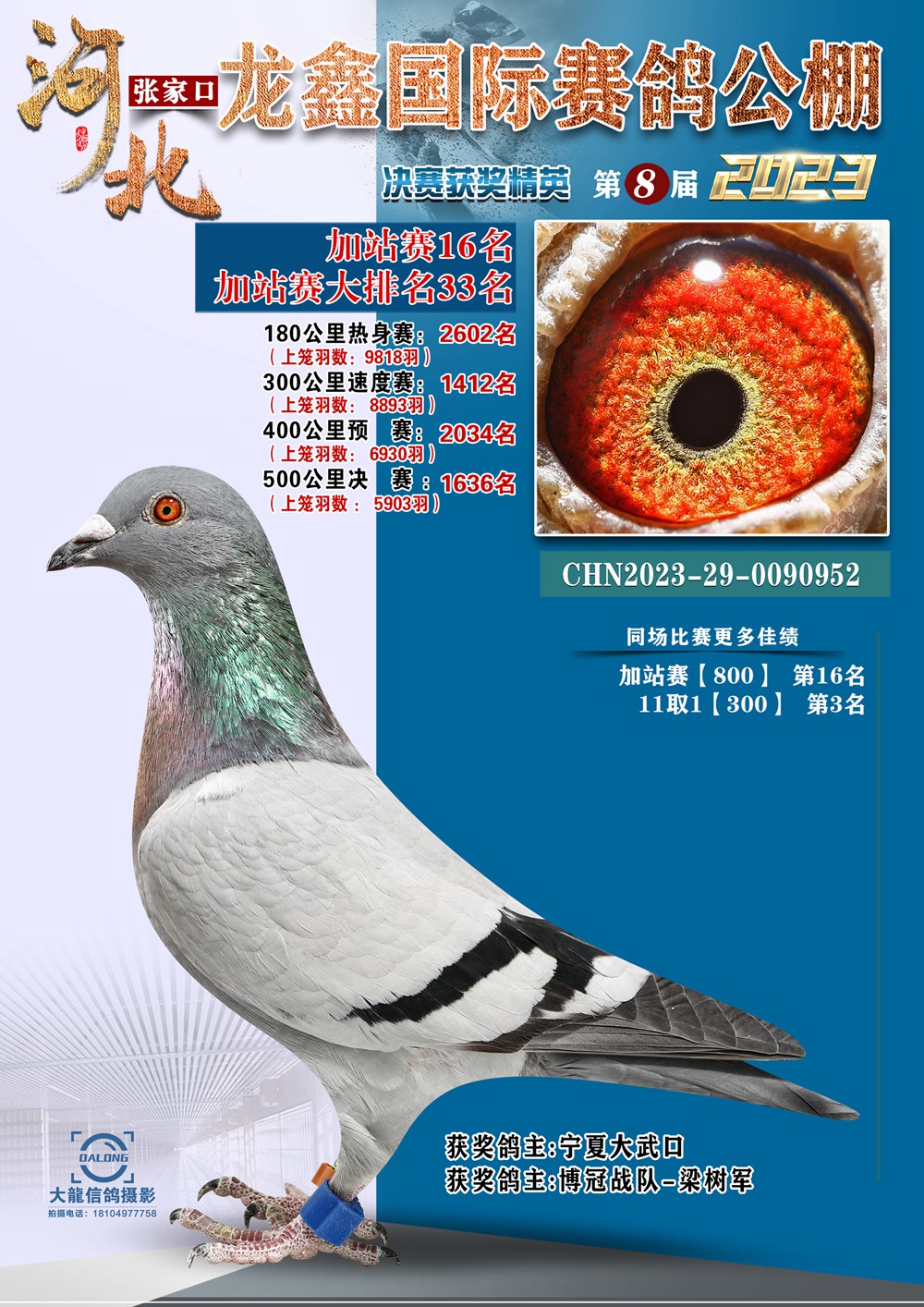 16
