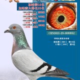 lMXJIU