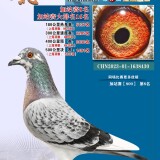 lMXUx5