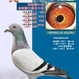 lMj3qQ