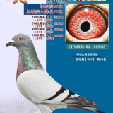 lMj7Mc