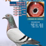 lMjCZ6