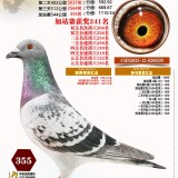 l683P4