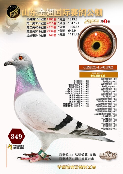 l689If.jpg