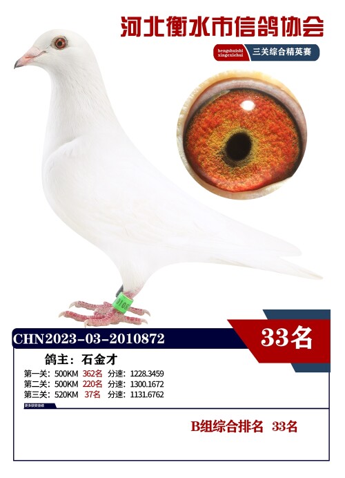 l68NMH.jpg