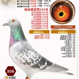 l68lFh