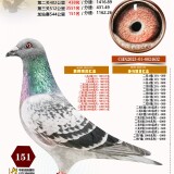 l6HiyL