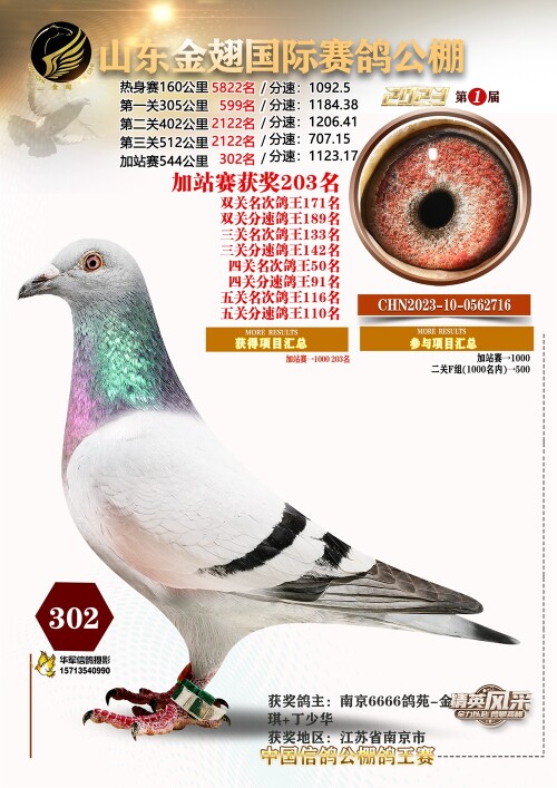 l6hkta.jpg