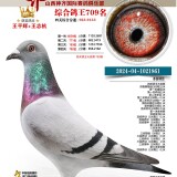 75MA2H