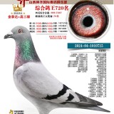 75MFI3