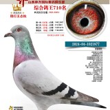 75MccU