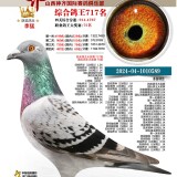 75MjzP