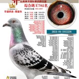 75Mltw