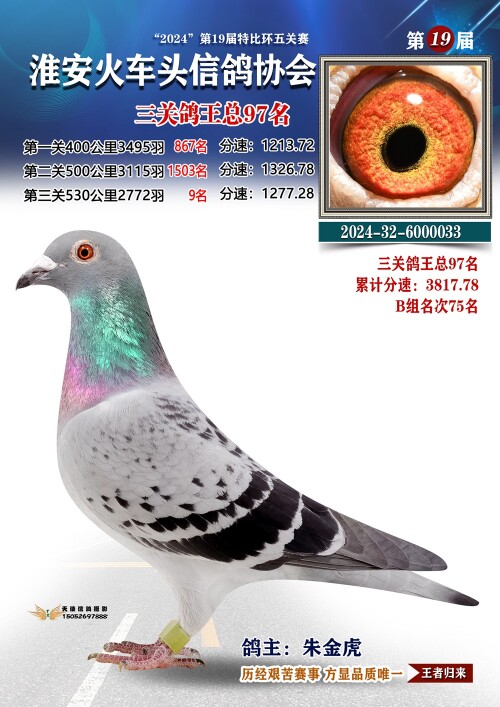 三关鸽王总97名