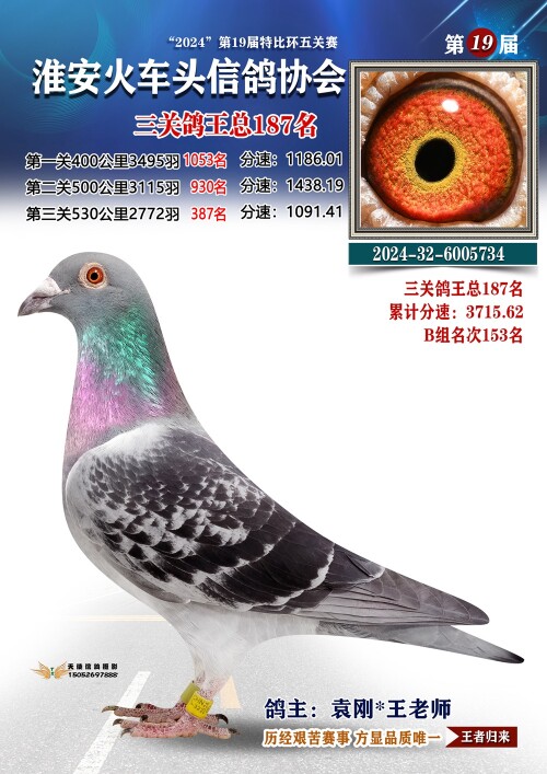 三关鸽王总187名