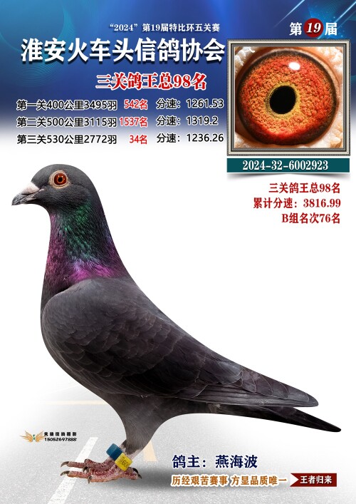 三关鸽王总98名