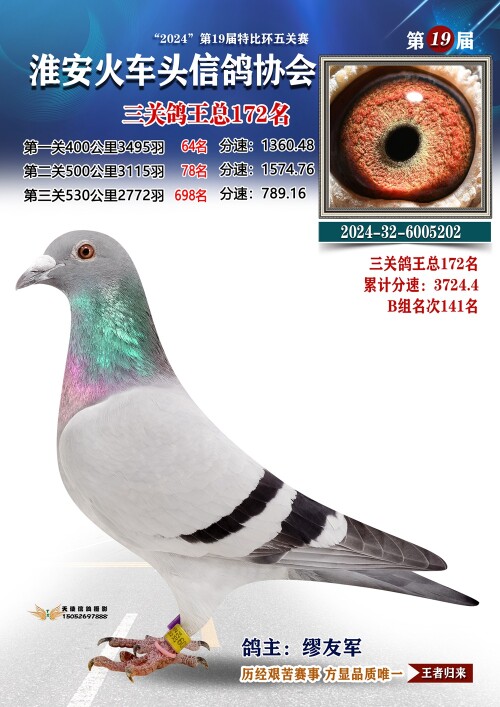 三关鸽王总172名